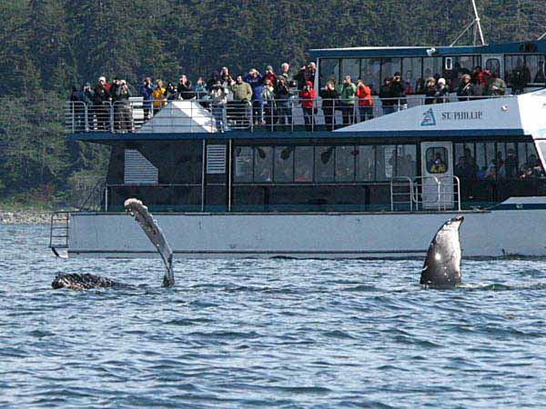 %_tempFileName029_whale%