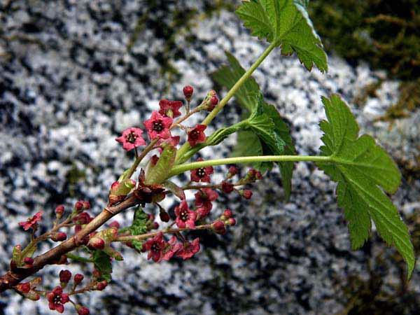 %_tempFileName069_juneau%