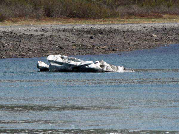 %_tempFileName092_glacierbay%