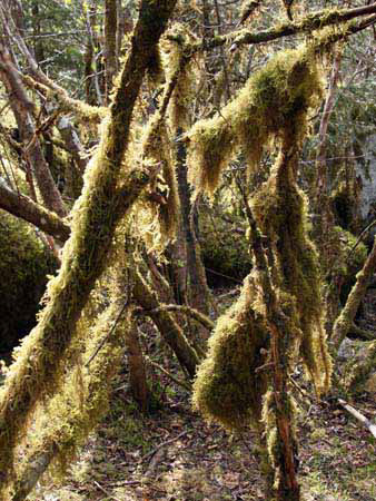 %_tempFileNamep025_juneau%