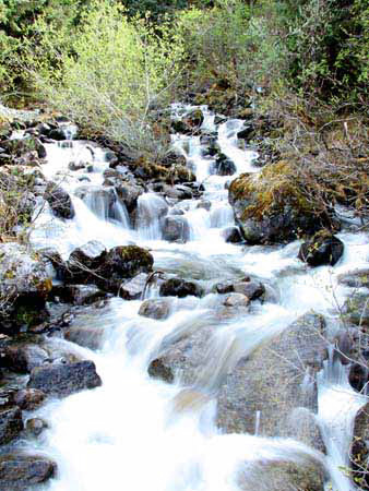 %_tempFileNamep052_juneau%
