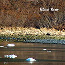 %_tempFileName007_alaska%