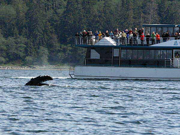 %_tempFileName021_whale_%