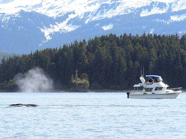 %_tempFileName024_whale_%