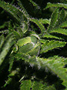 %_tempFileNamep076_ketch_%