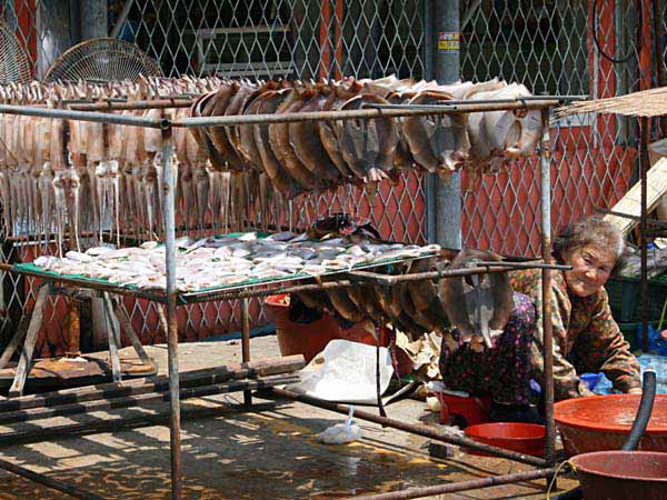 %_tempFileName001_pusan%