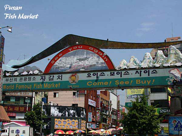 %_tempFileName003_pusan%