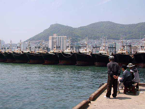 %_tempFileName011_pusan%