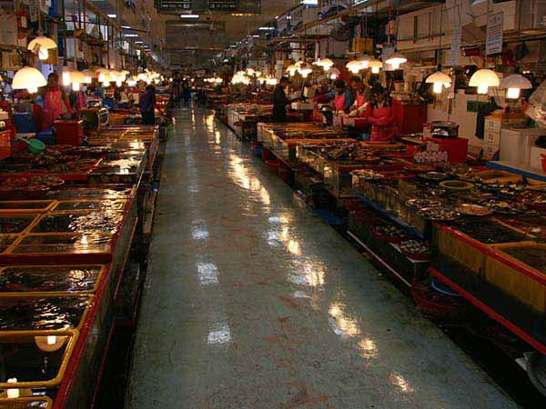%_tempFileName020_pusan%
