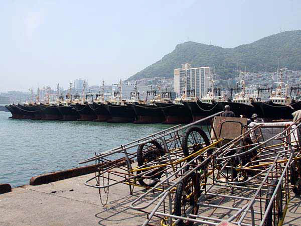 %_tempFileName033_pusan%