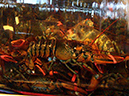 %_tempFileName058_pusan%