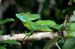 03_Basilisk_4773